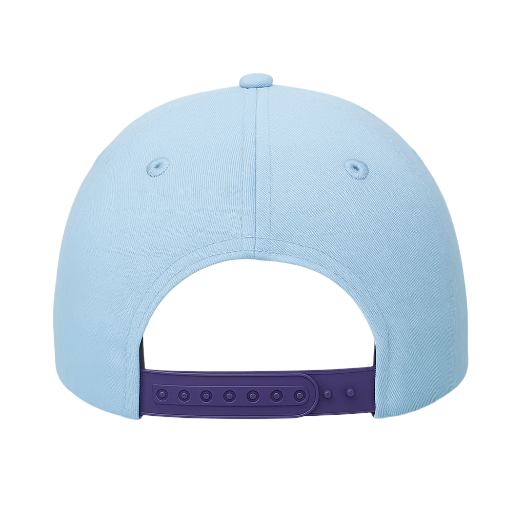 purple snapback hat
