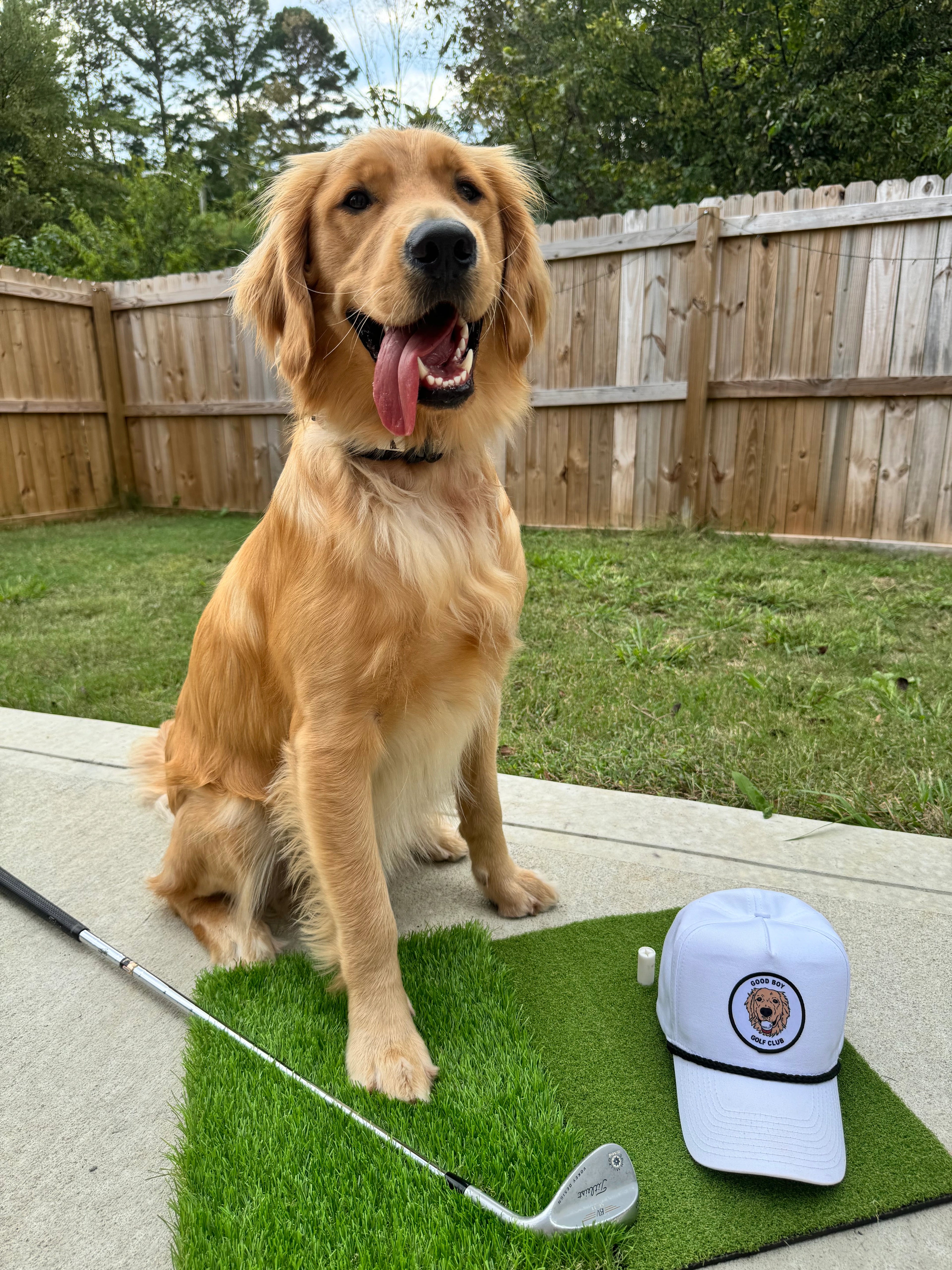 Golden retriever golf rope hat